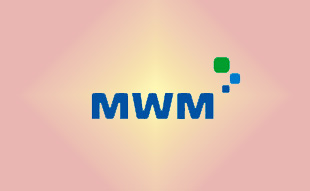 ✓ MWM 13020488 Фильтр топливный 